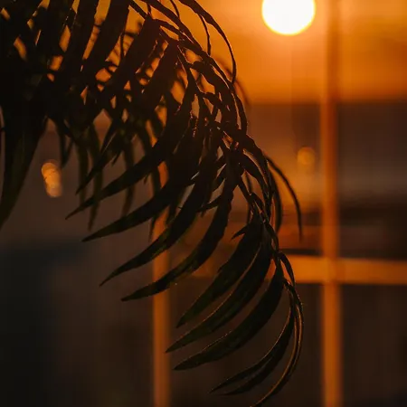 One&only Melissa 아파트