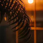 Hsg شقة